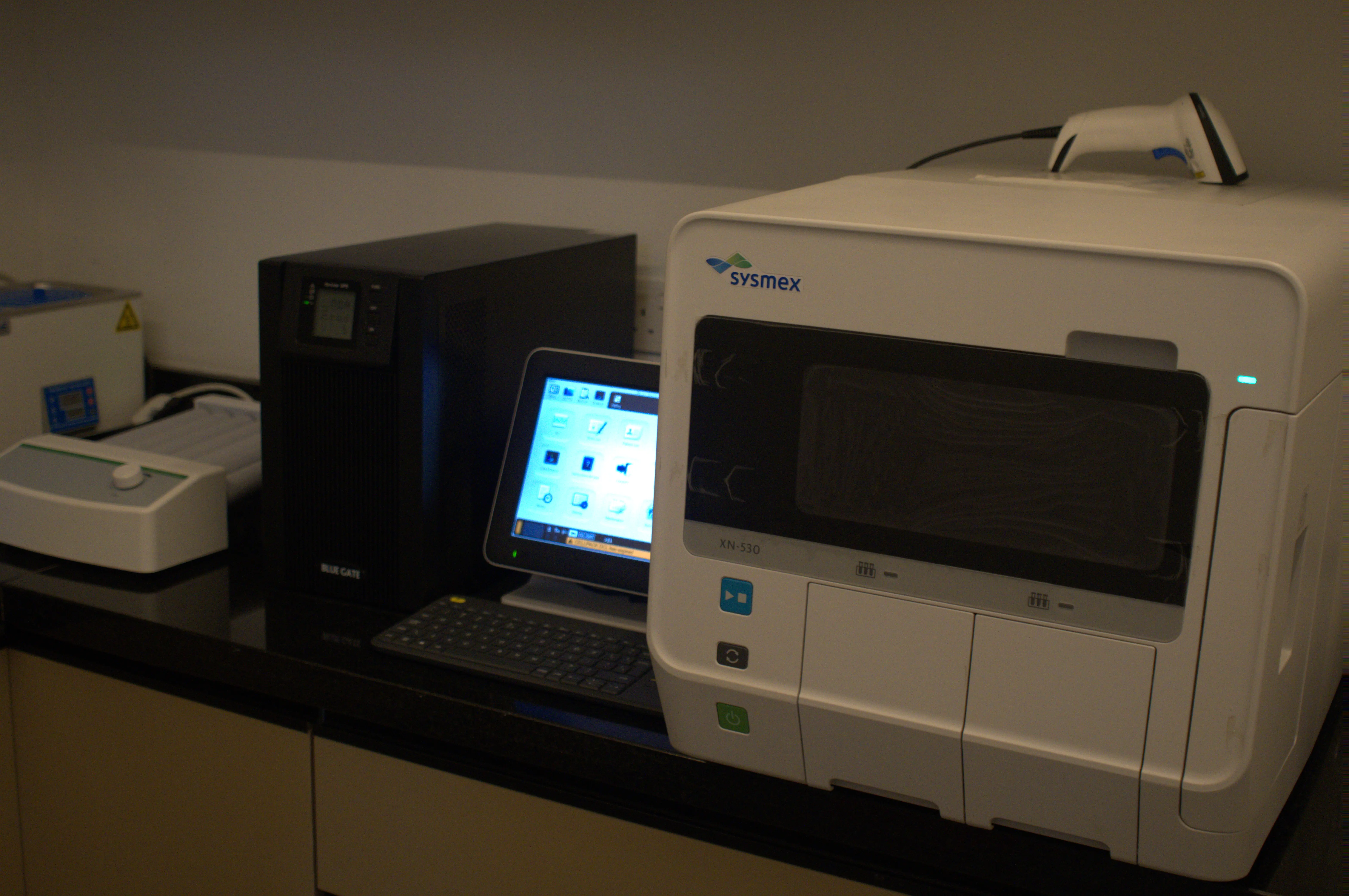 Lab